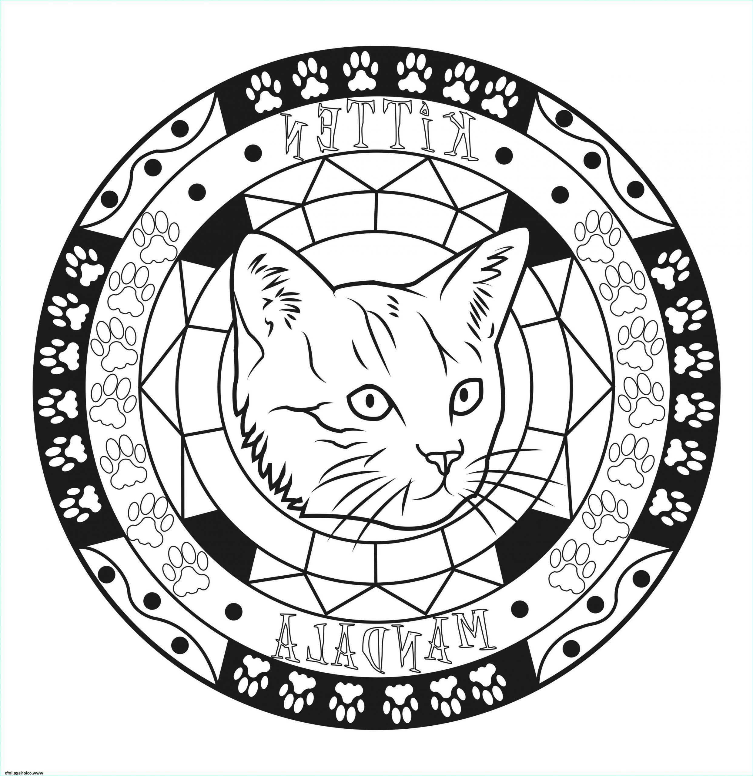adulte mandala chat chaton original facile coloriage dessin