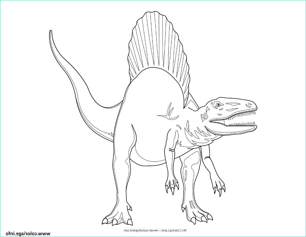 dinosaure jurassic park spinosaurus coloriage