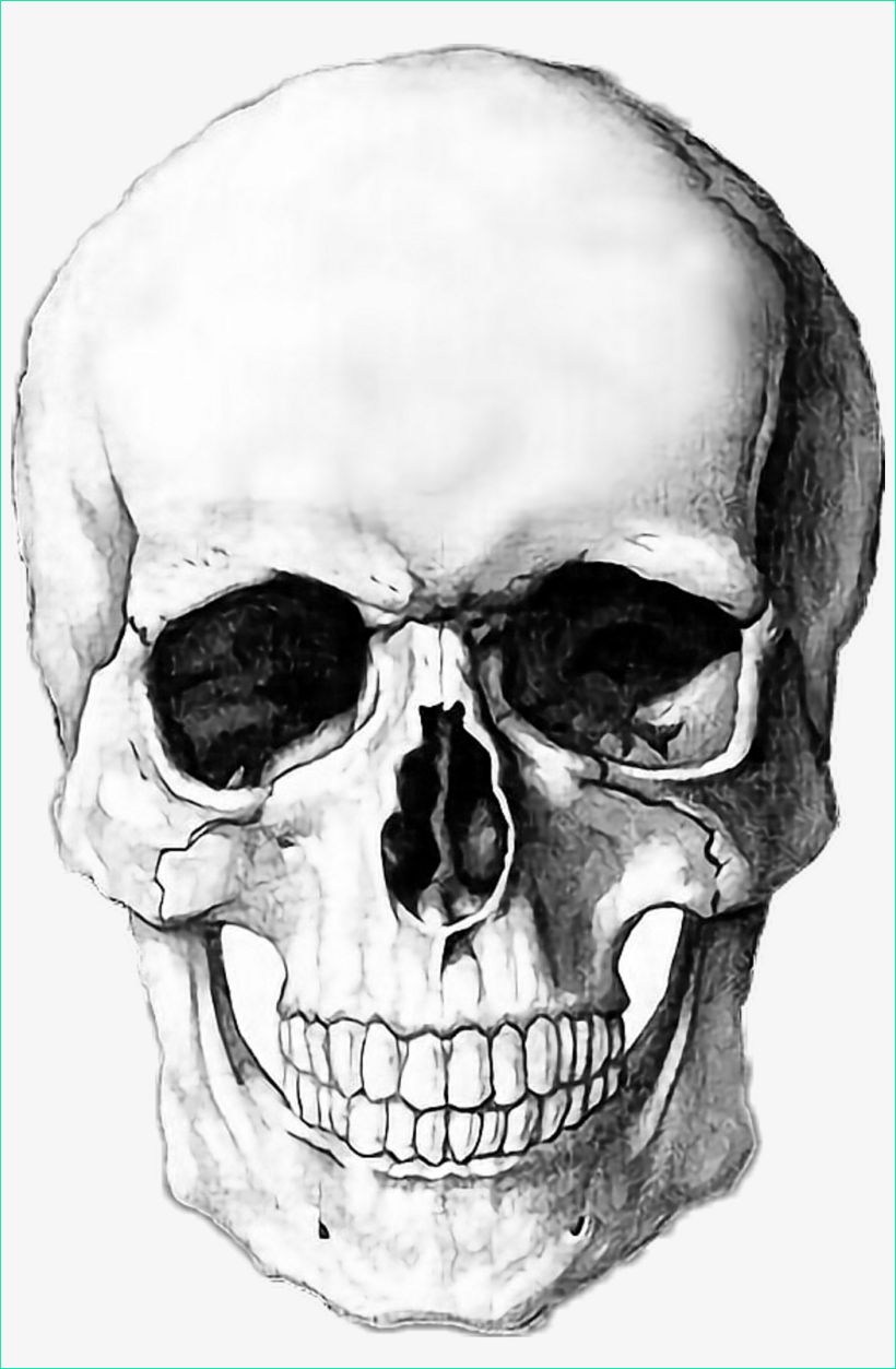 u2y3q8o0e6i1a9r5 sticker halloween skull drawing blackandwhite tete de mort
