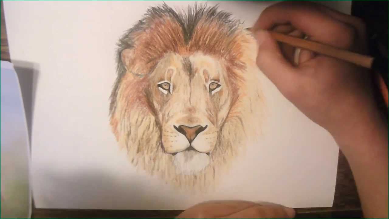 inspiration dessin tete de lion realiste