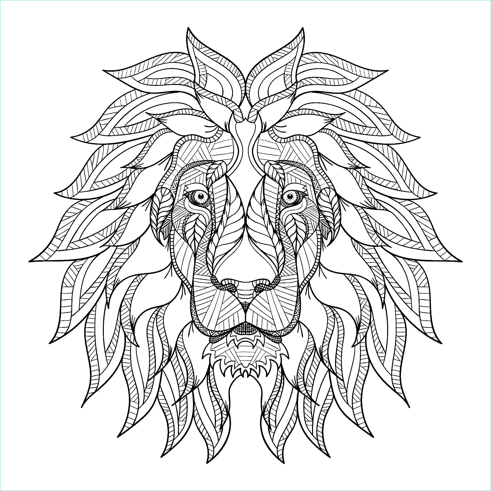 image=lions coloriage tete de lion et criniere 1