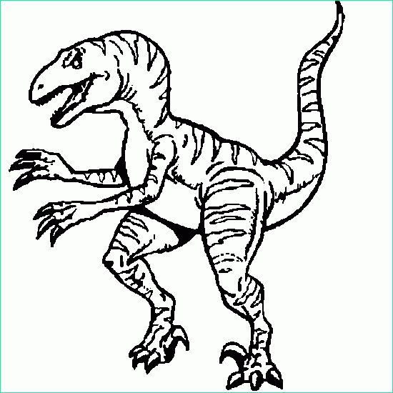 coloriage dinosaure velociraptor dessin dinosaure