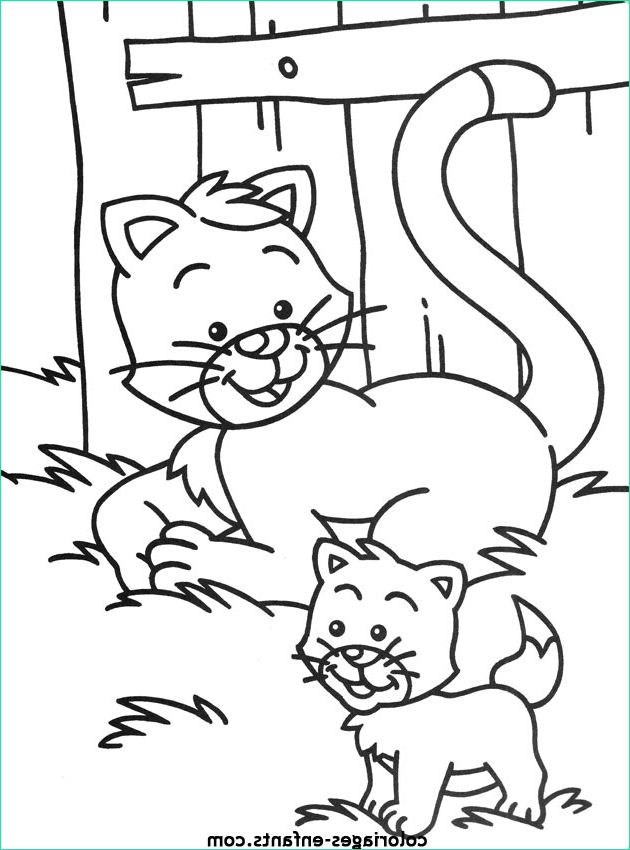 dessin de chat a imprimer