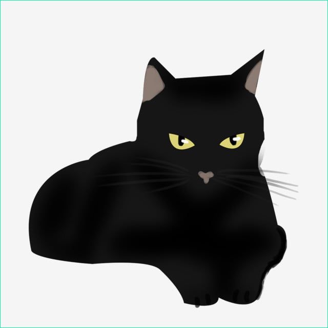 halloween hand drawn black cat cartoon cute horror element