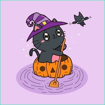 chat halloween sorciere chapeau citrouille chaton dessin anime