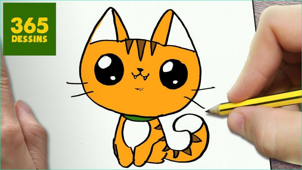 dessin chaton manga unique photos ment dessiner chat kawaii etape par etape dessins