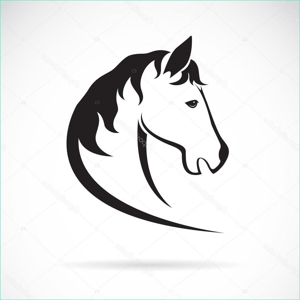 stock illustration vector image of a horse