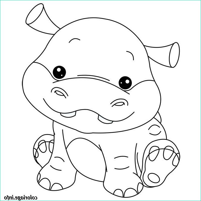 bebe hippopotame coloriage 73