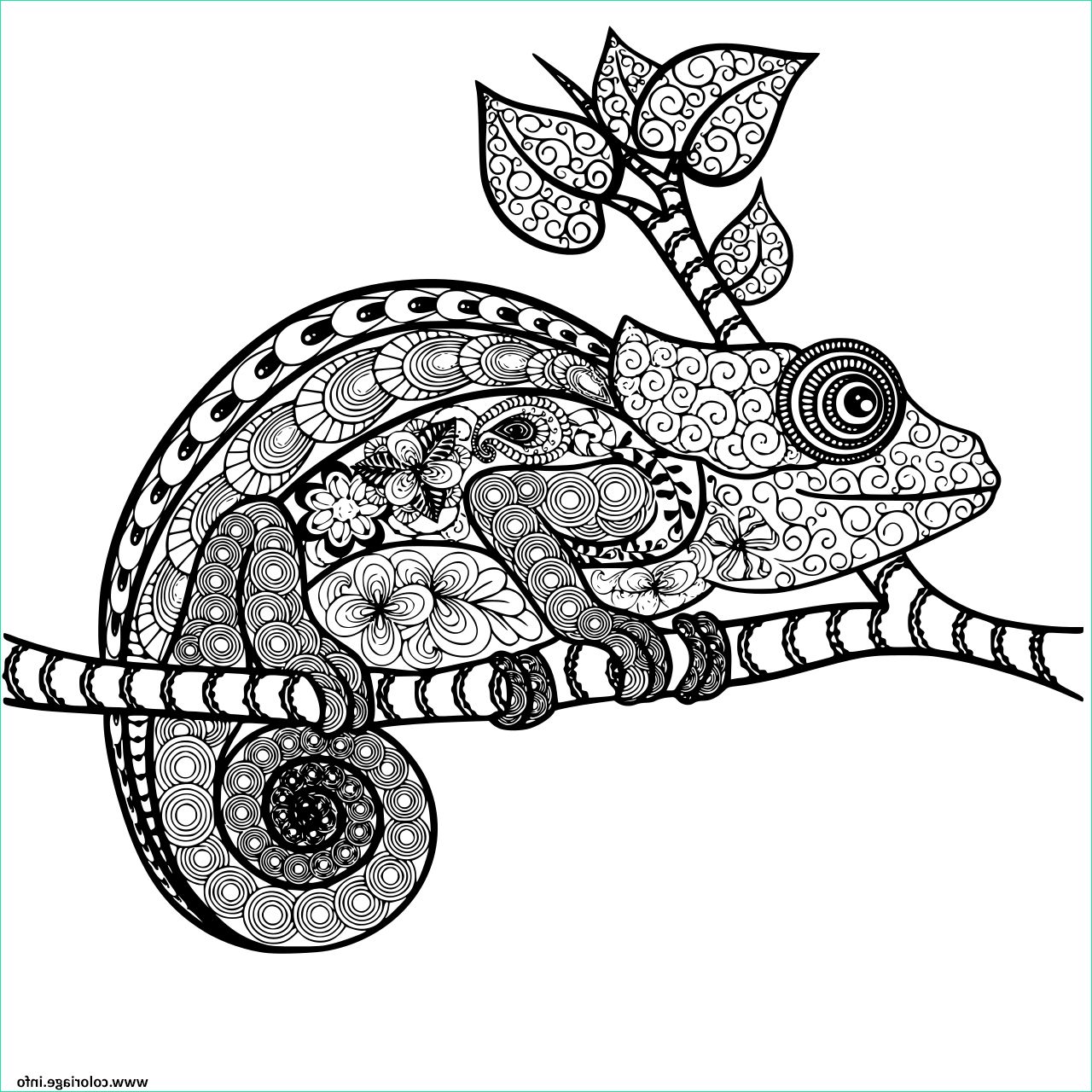 cameleon mandala adulte zentangle coloriage dessin