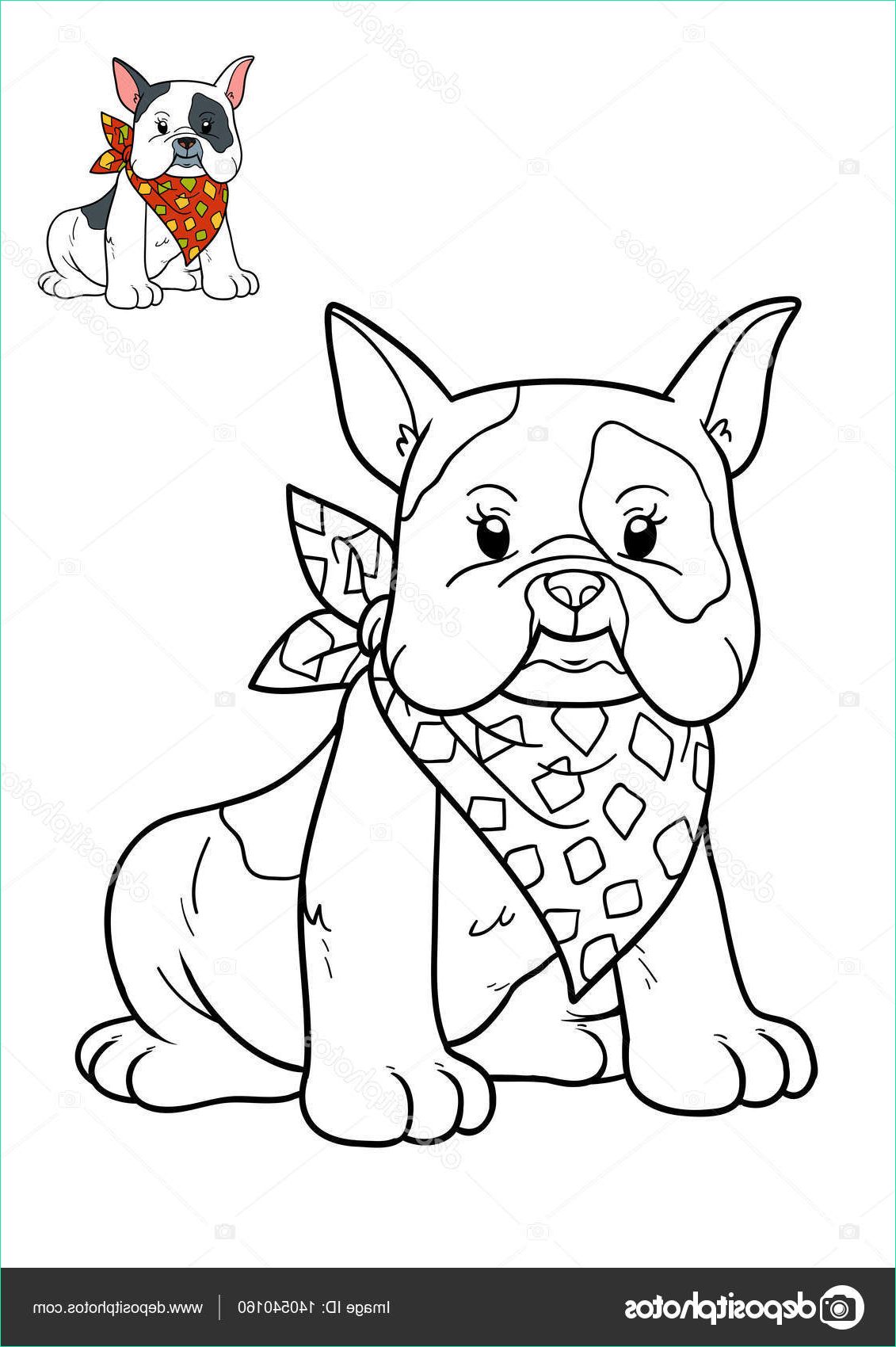 stock photo coloring book dog