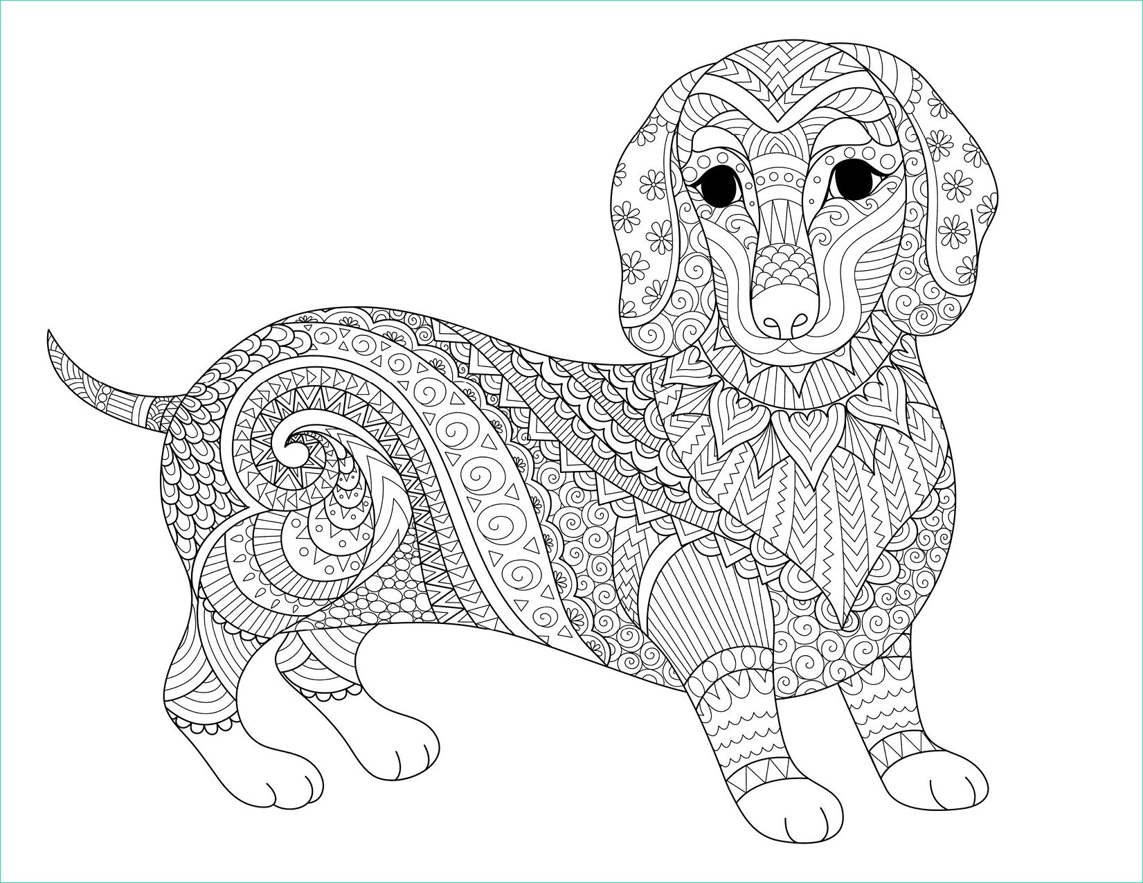 coloriage de chien therapie dessin bimbimkha