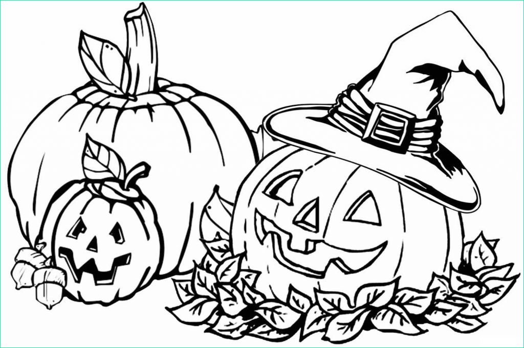 dessin de citrouille halloween cool stock les meilleurs dessins pour halloween coloriages citrouilles