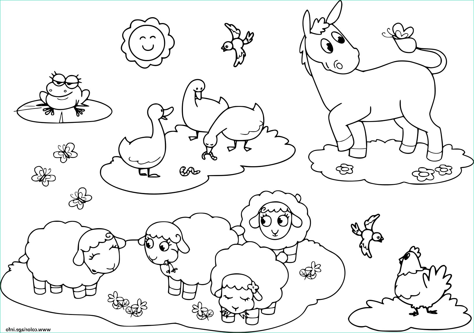 animaux de la ferme pour enfants ane oie poule moutons et grenouille coloriage