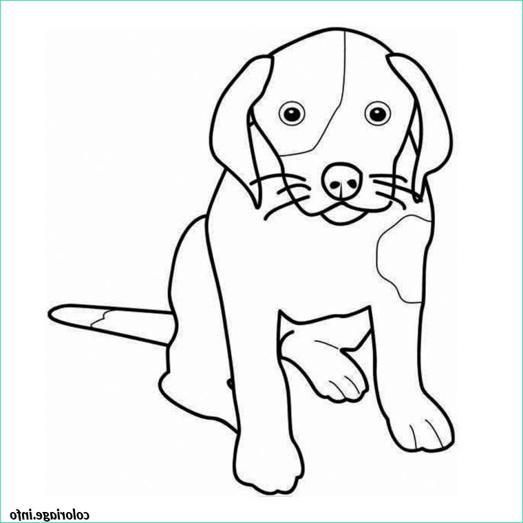 animaux chien coloriage 48