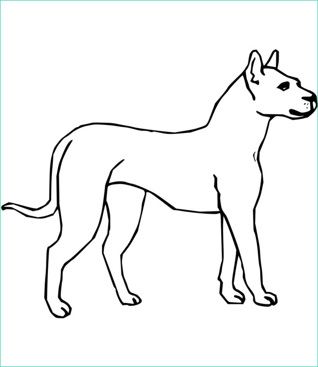coloriage chien num=83