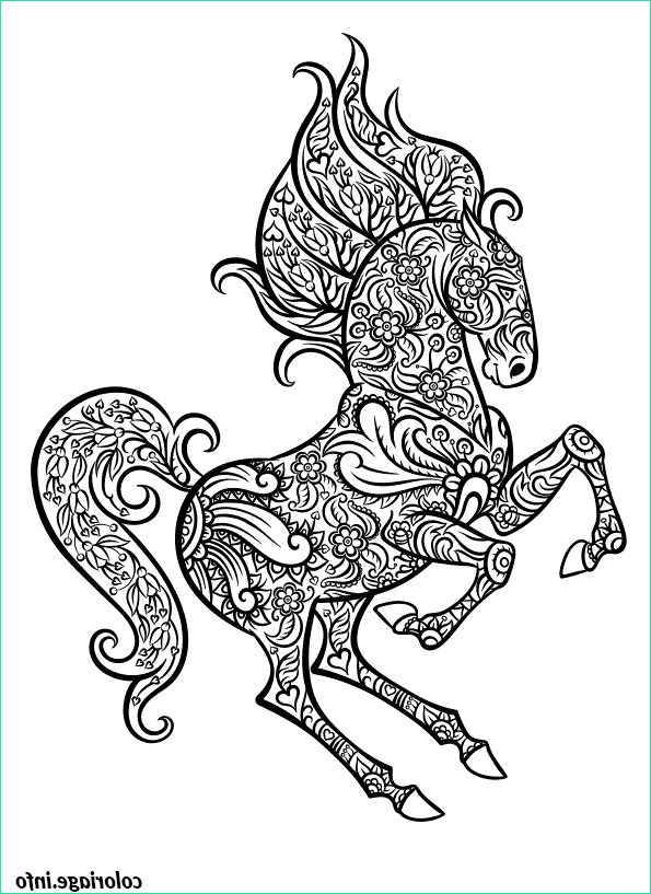 difficile adulte cheval animal coloriage 9589