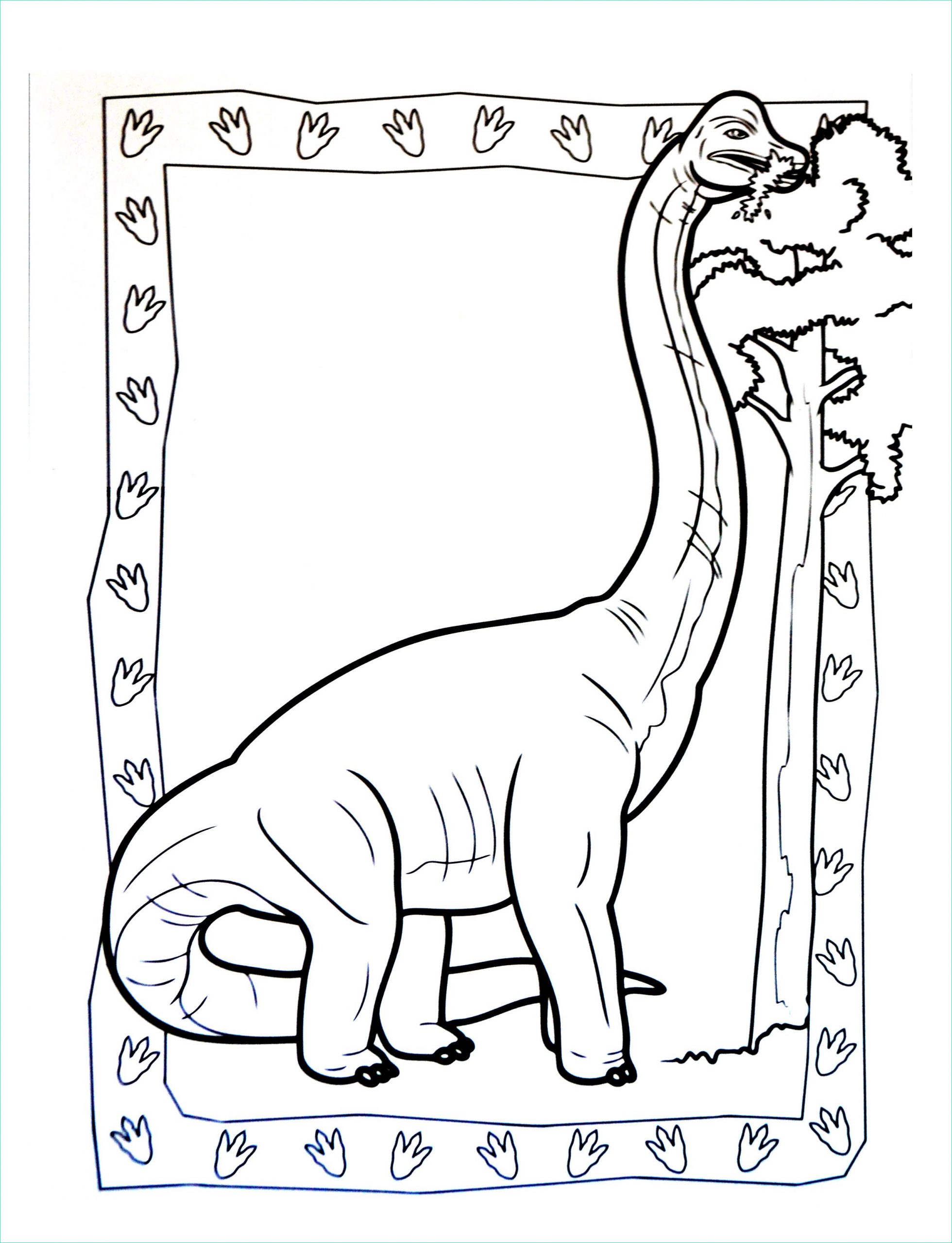 image=dinosaures coloriage a imprimer dinosaure 3 1