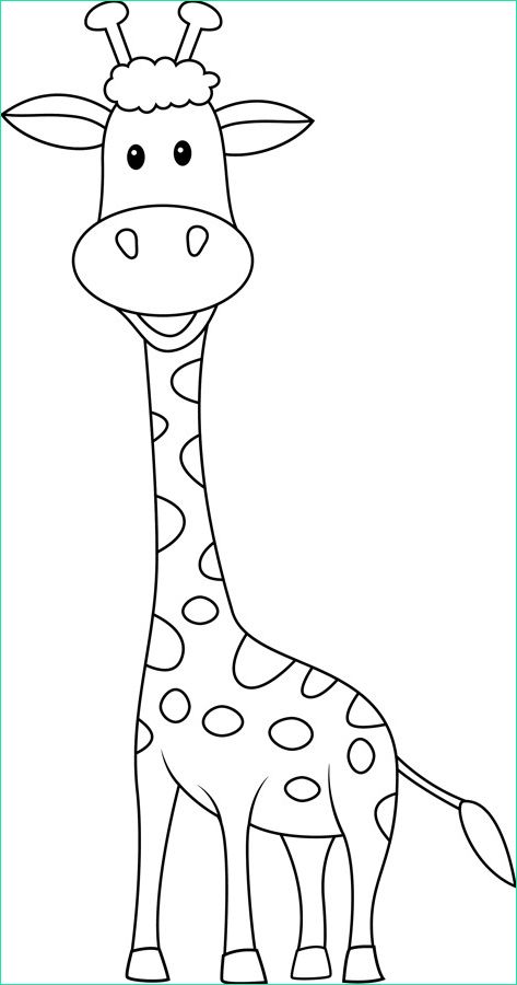 girafe souriante 9706