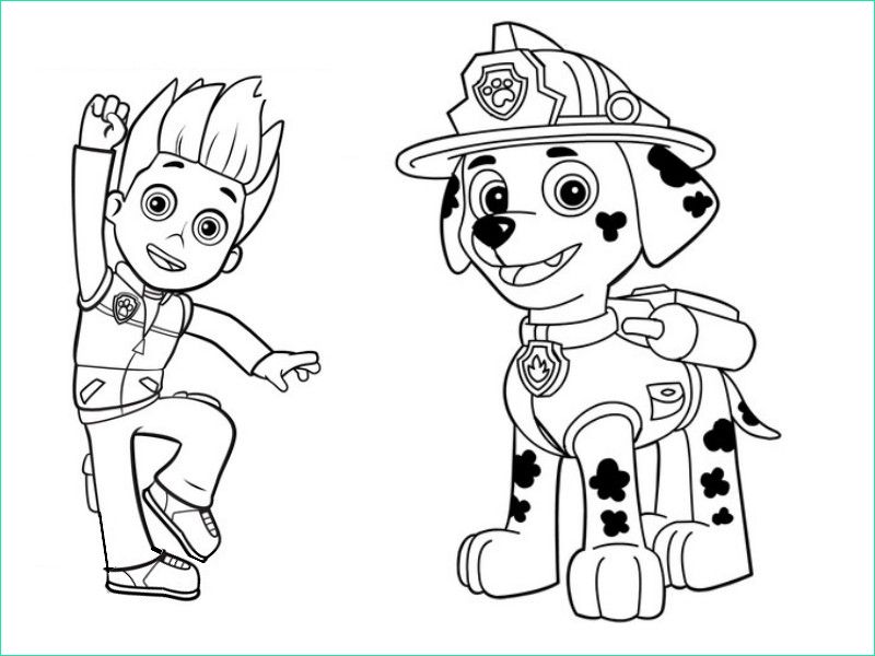 paw patrol everest coloring pages printable sketch templates