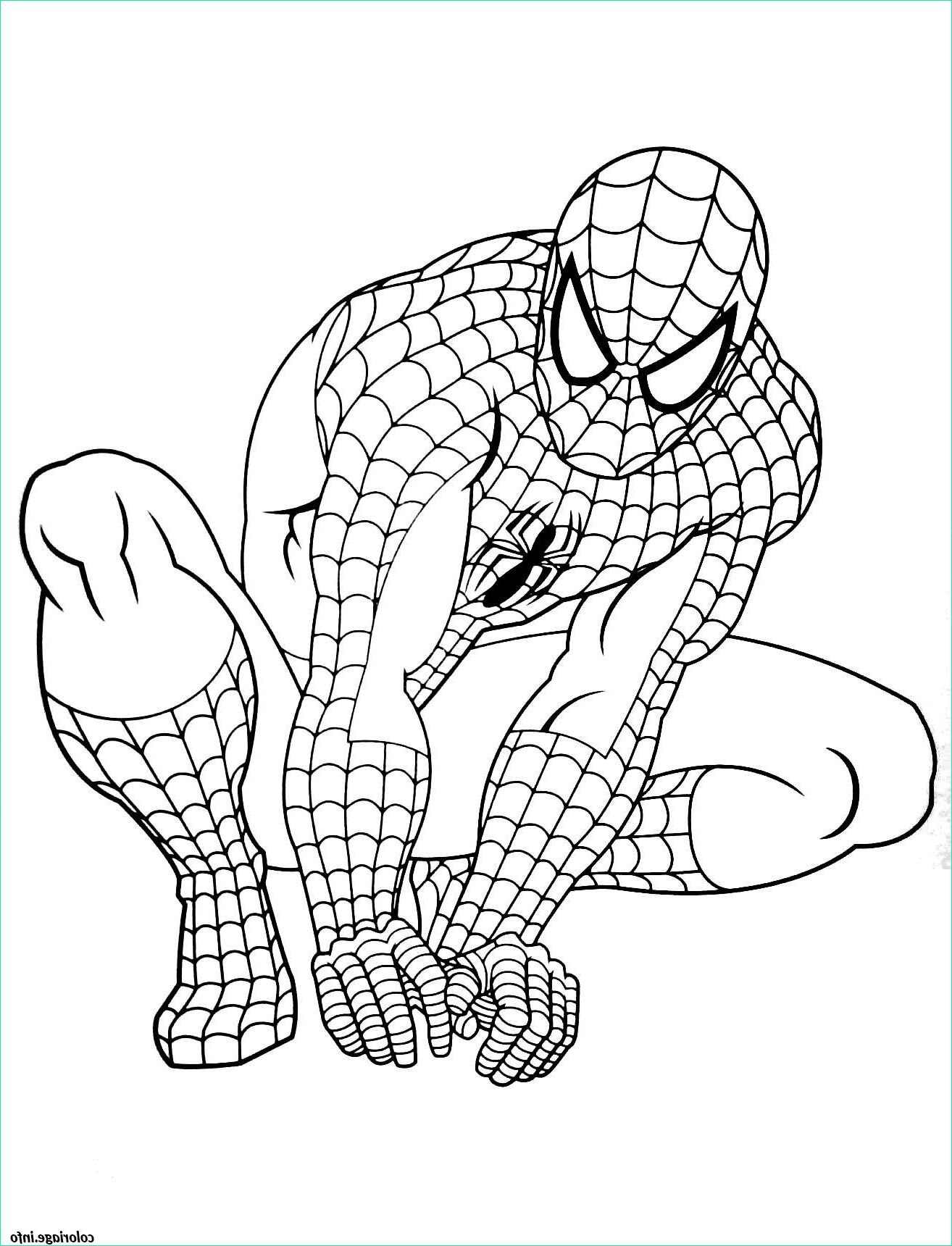 spiderman 9 coloriage 2688