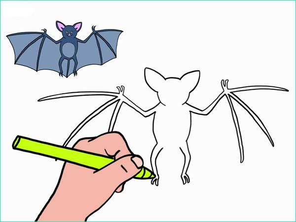 apprendre a dessiner une chauve souris en 3 etapes