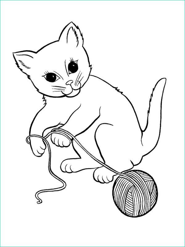 chat en jouant avec une pelote de laine 916