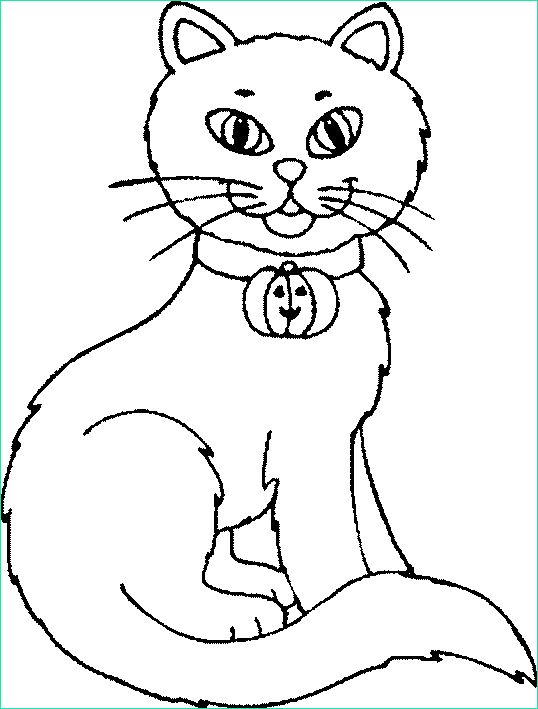 chats dessins colorier
