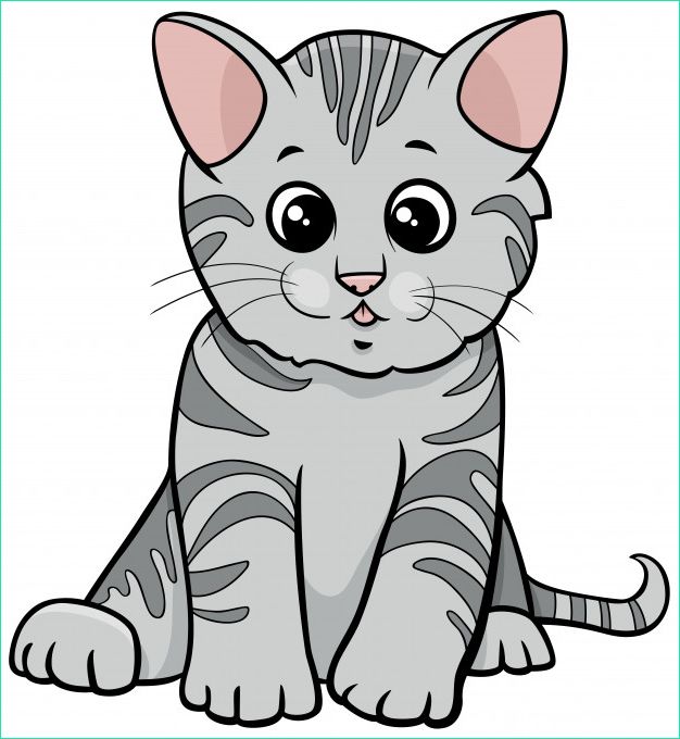 personnage animal dessin anime chaton tigre gris