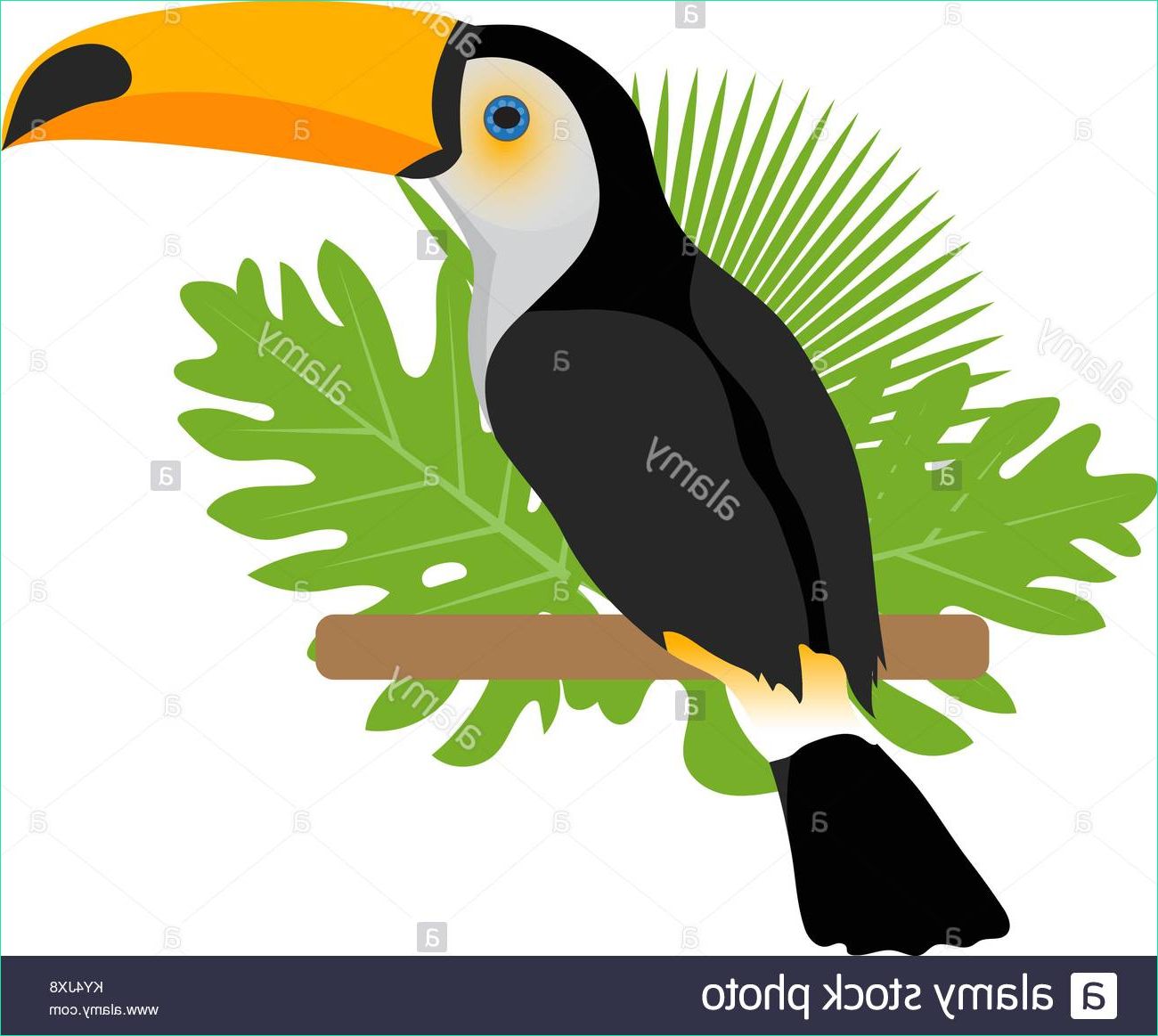 stock photo toco toucan icon is a flat cartoon style exotic bird sitting on a
