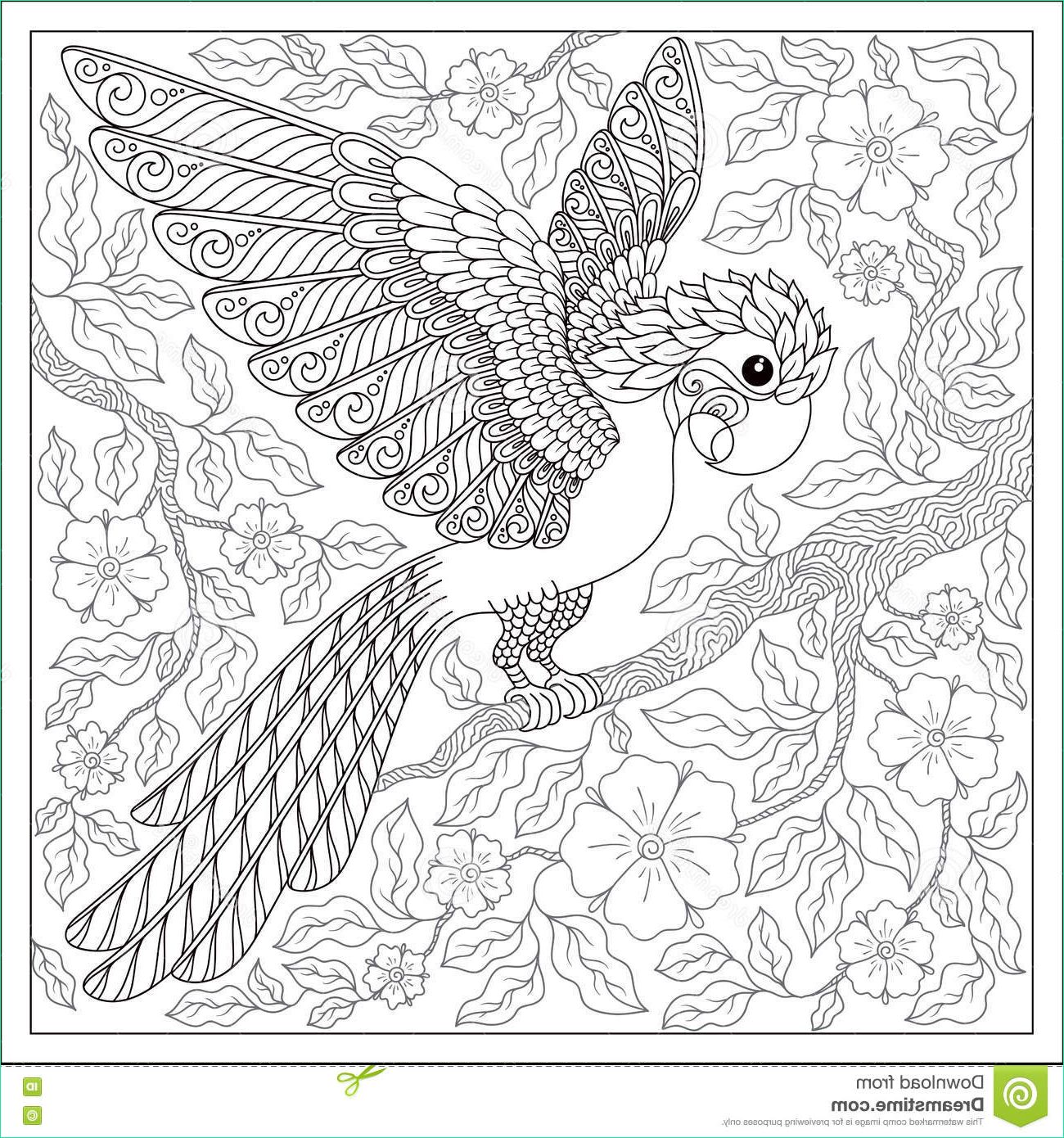 stock illustration exotic bird fantastic flowers branches leaves set illustra contour thin line drawing vector fantasy stylized cockatoo jungle image