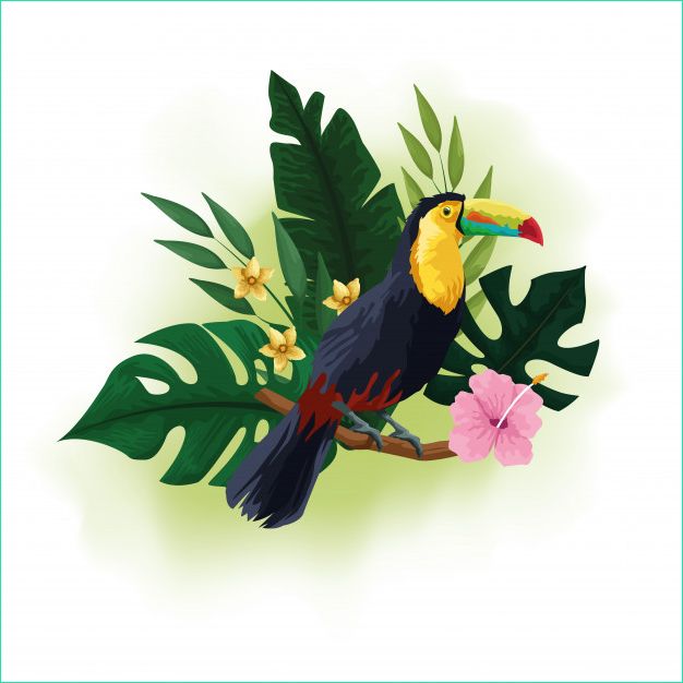 dessin oiseaux exotiques fleurs tropicales