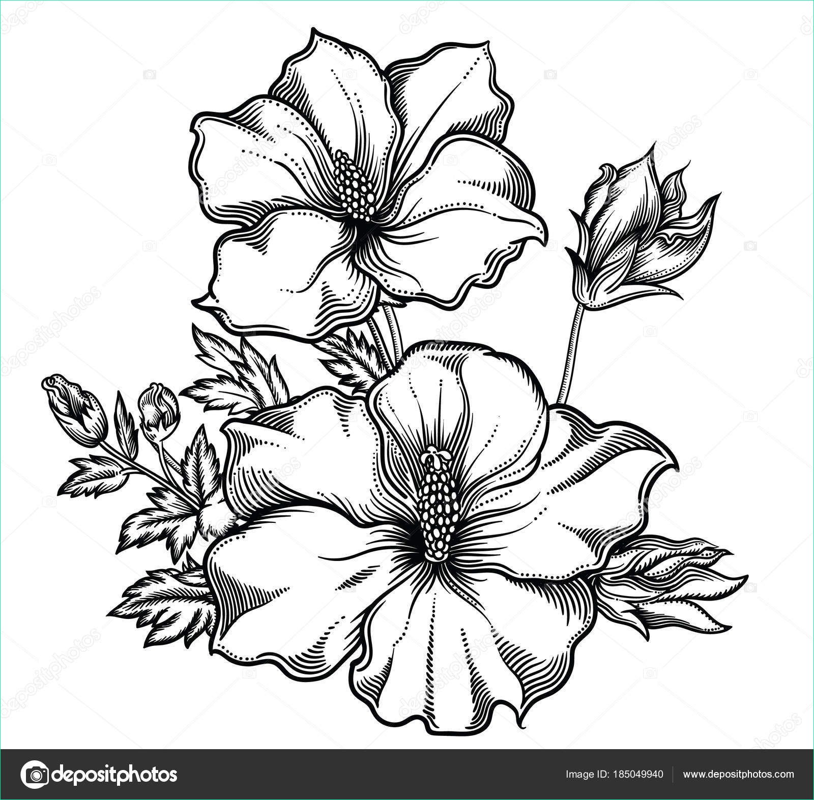 dessin fleur exotique noir et blanc