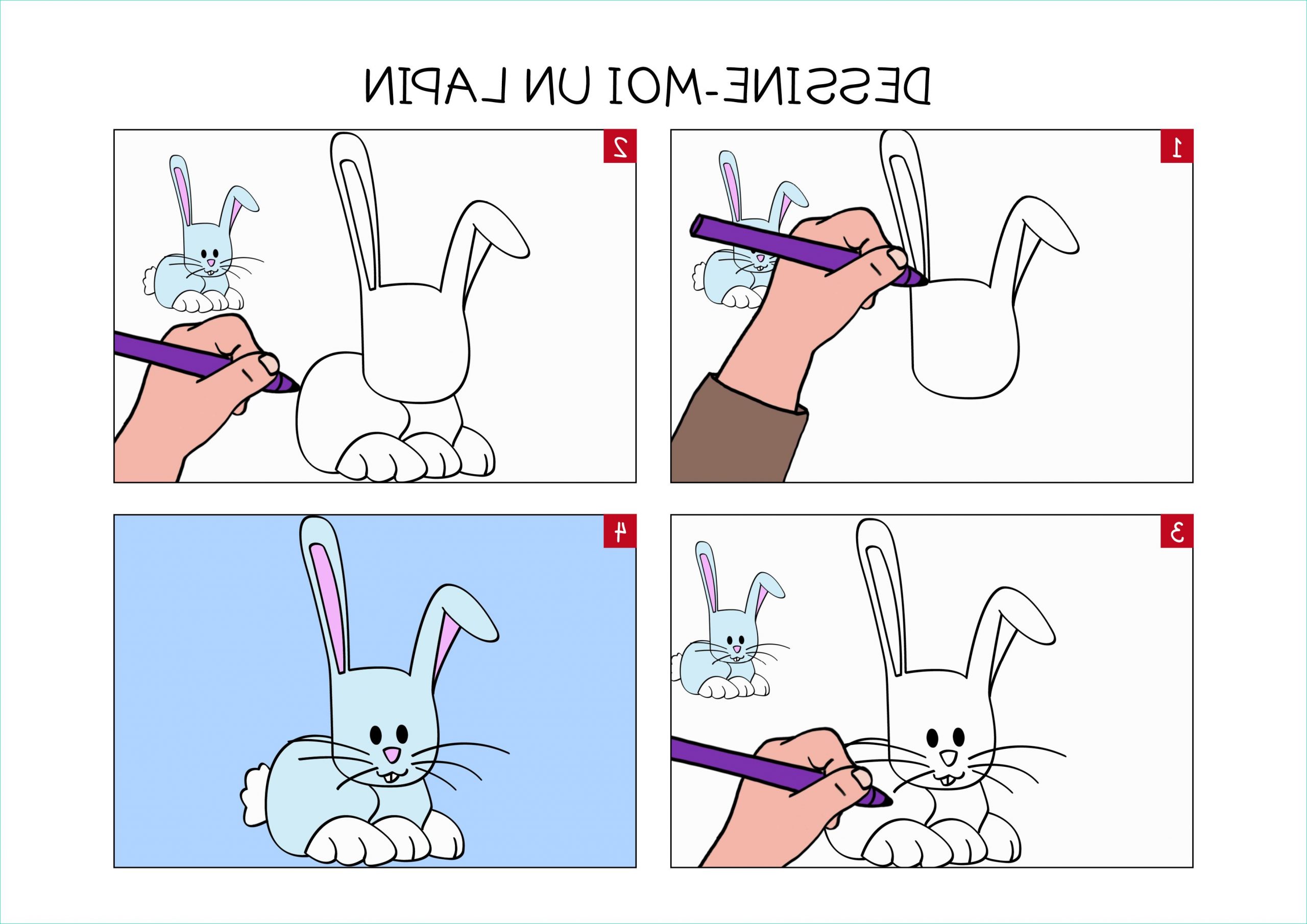 aprendre a dessiner un lapin en 3 etapes
