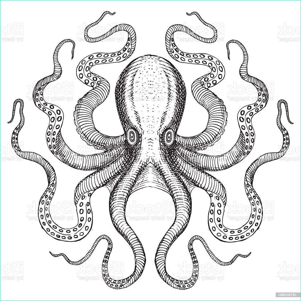 sea monster octopus gm