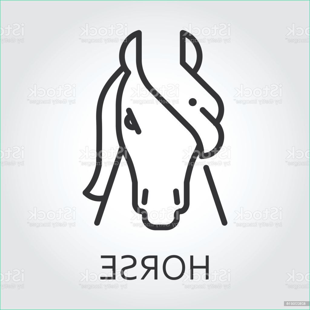 noir dessin au trait icône style tête cheval animal sauvage équins gm