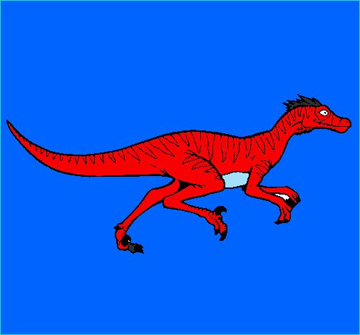 velociraptor colorie par gabriel