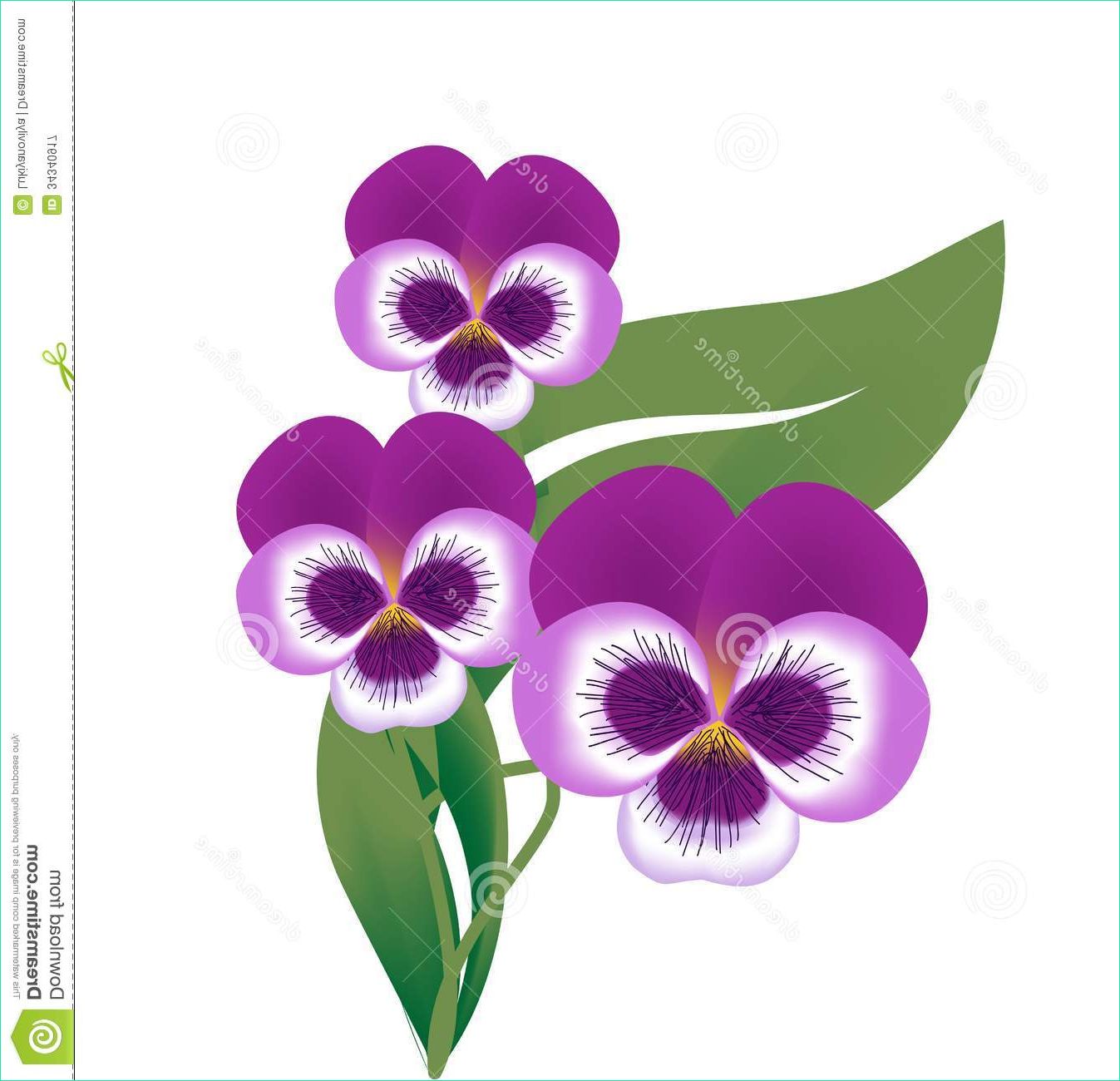 photographie stock libre de droits fleur de la fleur violette image