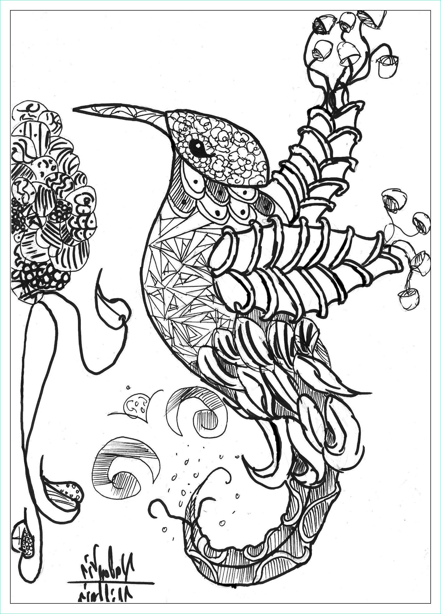 image=oiseaux coloriage adulte dessin Animaux par valentin 1