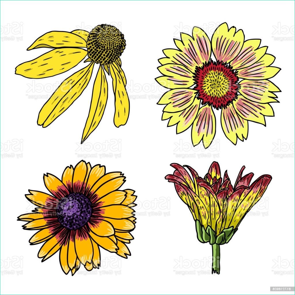 fleur dété défini collection dans des couleurs lumineuses et de style de dessin gm