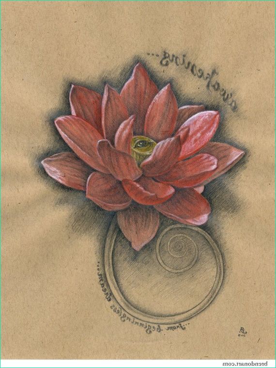 reveil yeux lotus fleur de lotus