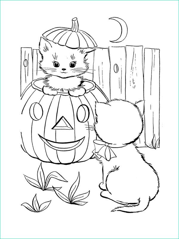 coloriage chaton dans citrouille d halloween