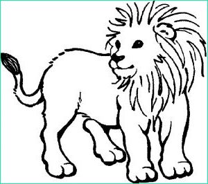 dessin lionceau bestof image dessins de lion a colorier