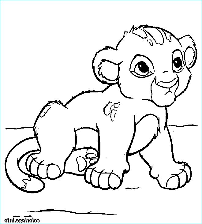 dessin animaux lionceau coloriage dessin 7385