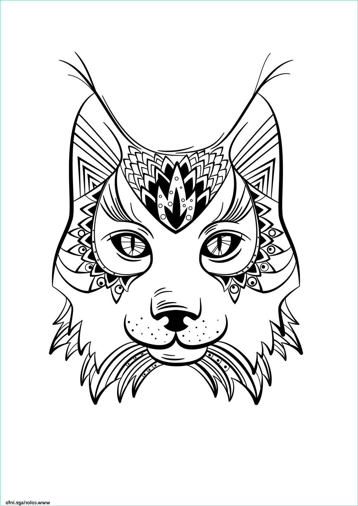 lynx animal adulte mandala coloriage dessin