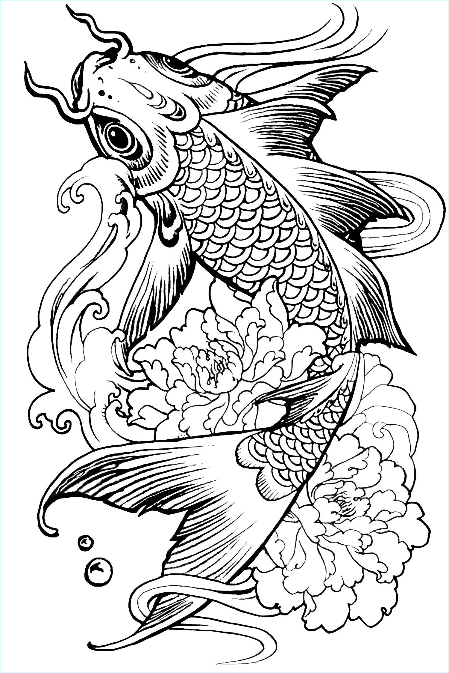 image=poissons coloriage carpe poisson difficile 1