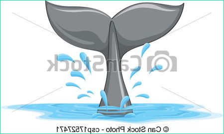 queue baleine