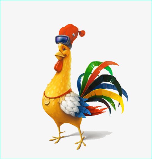 multicolored rooster tail