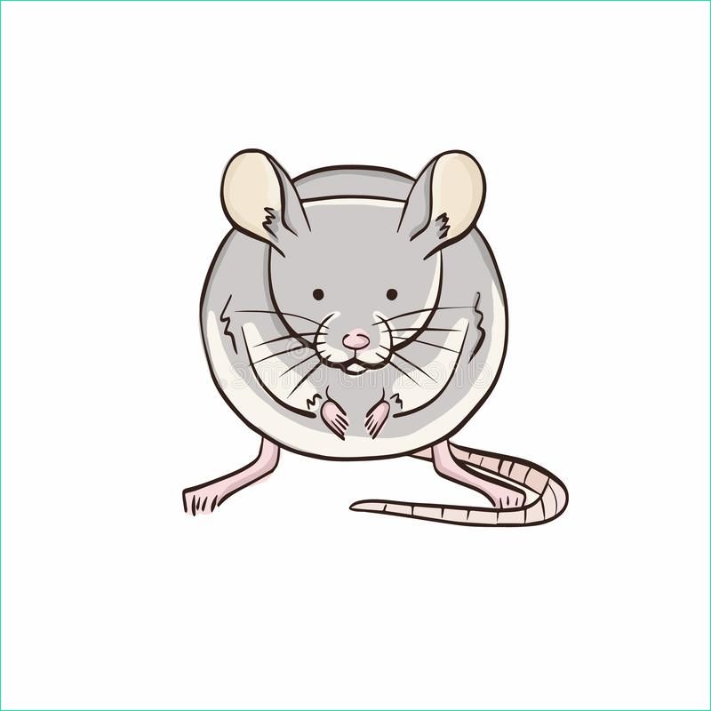 dessin simple d souris grise bande dessinée animal image