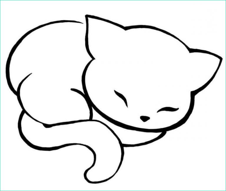 tete de chat dessin facile beau image dessin de chat animozone
