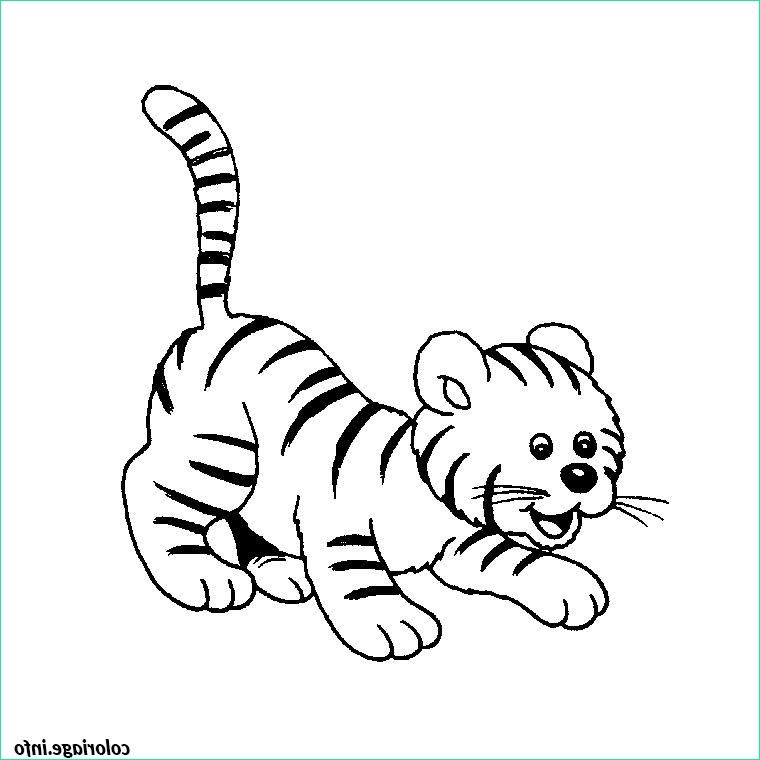bebe tigre coloriage dessin 7067